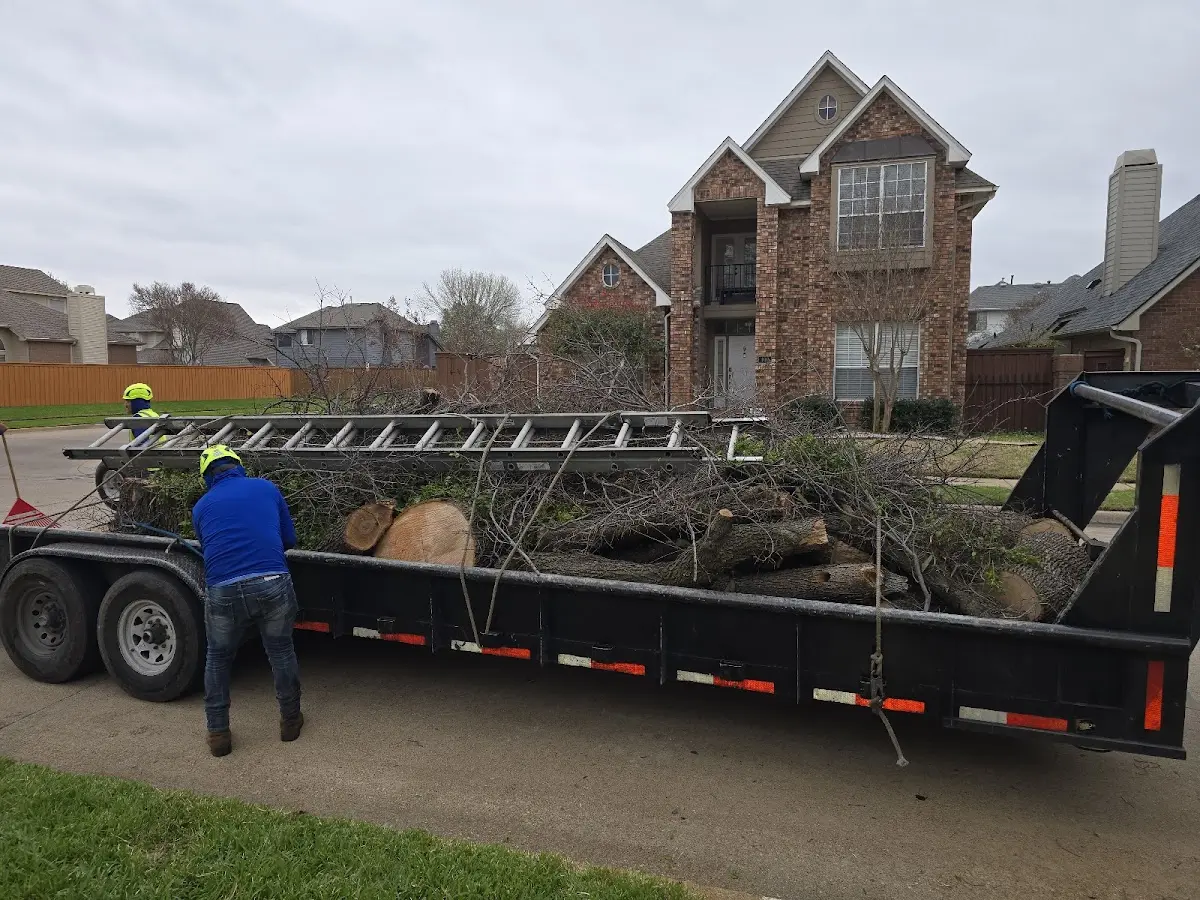 Expert Tree Fertilization with proper safety equipment in Trail